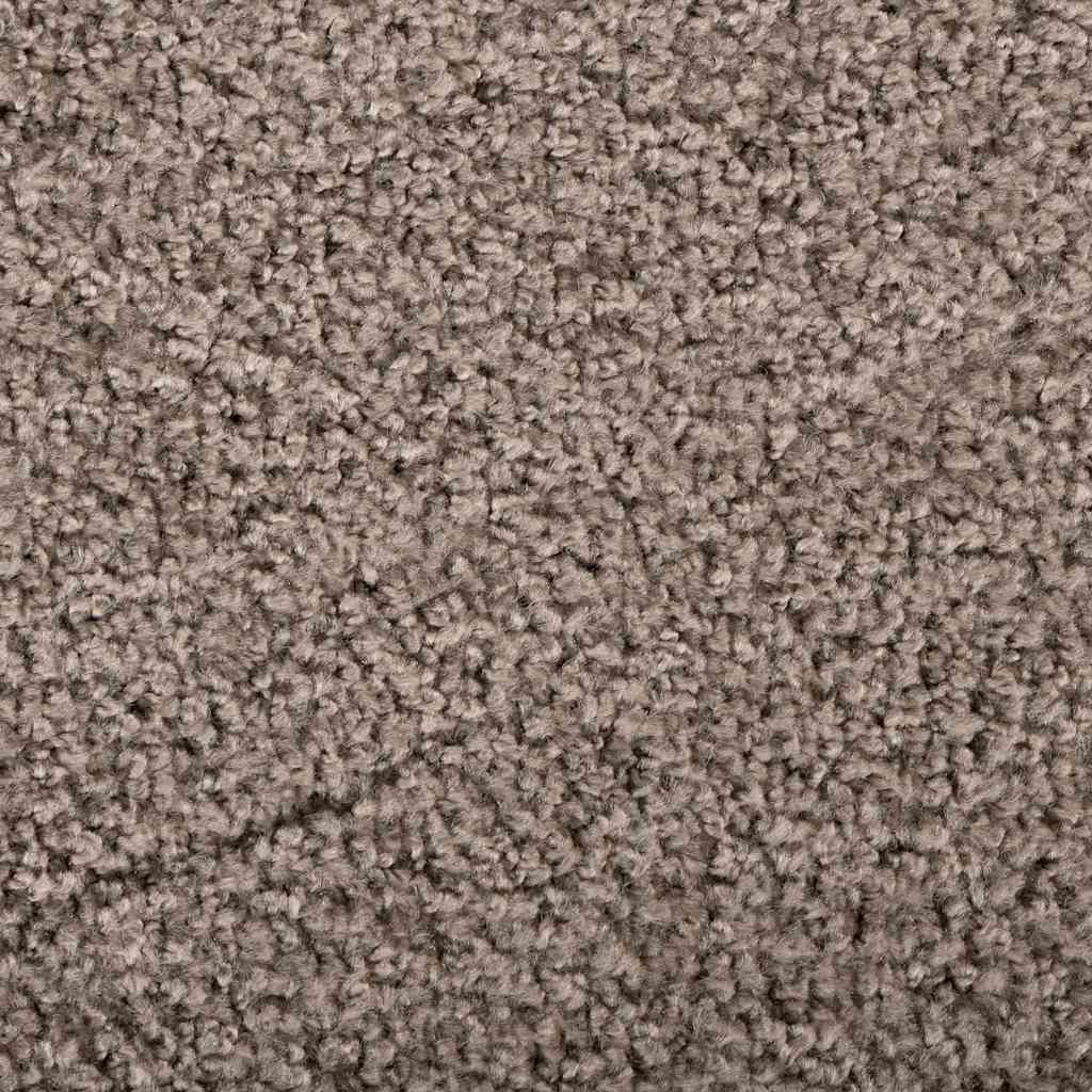 Fußmatte Beige 60 x 80 x 1.2 cm Teddystoff