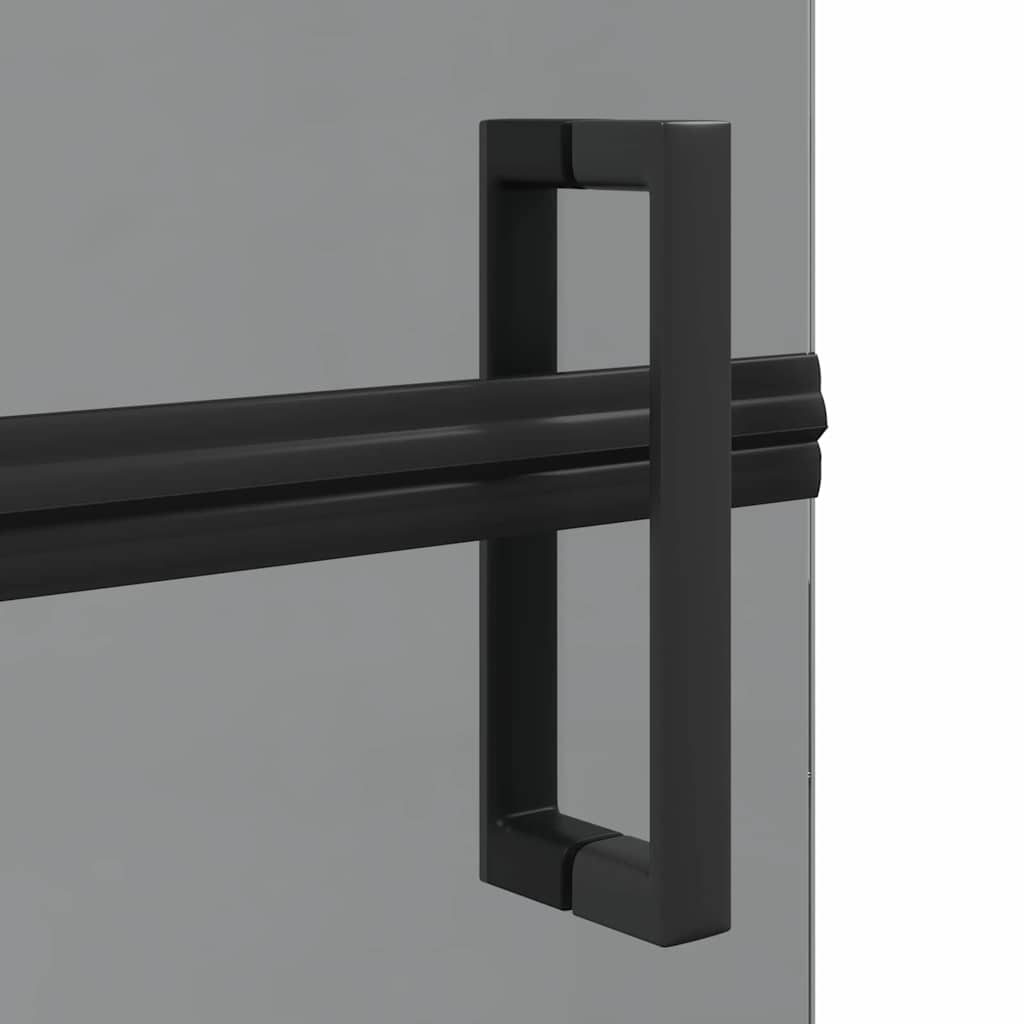 Walk-In Duschwand Schwarz 80 x 6,5 x 190 cm