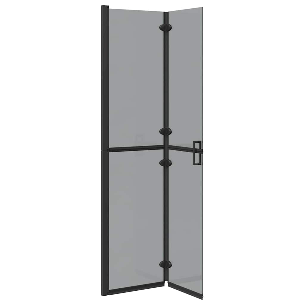 Walk-In Duschwand Schwarz 90 x 6,5 x 190 cm