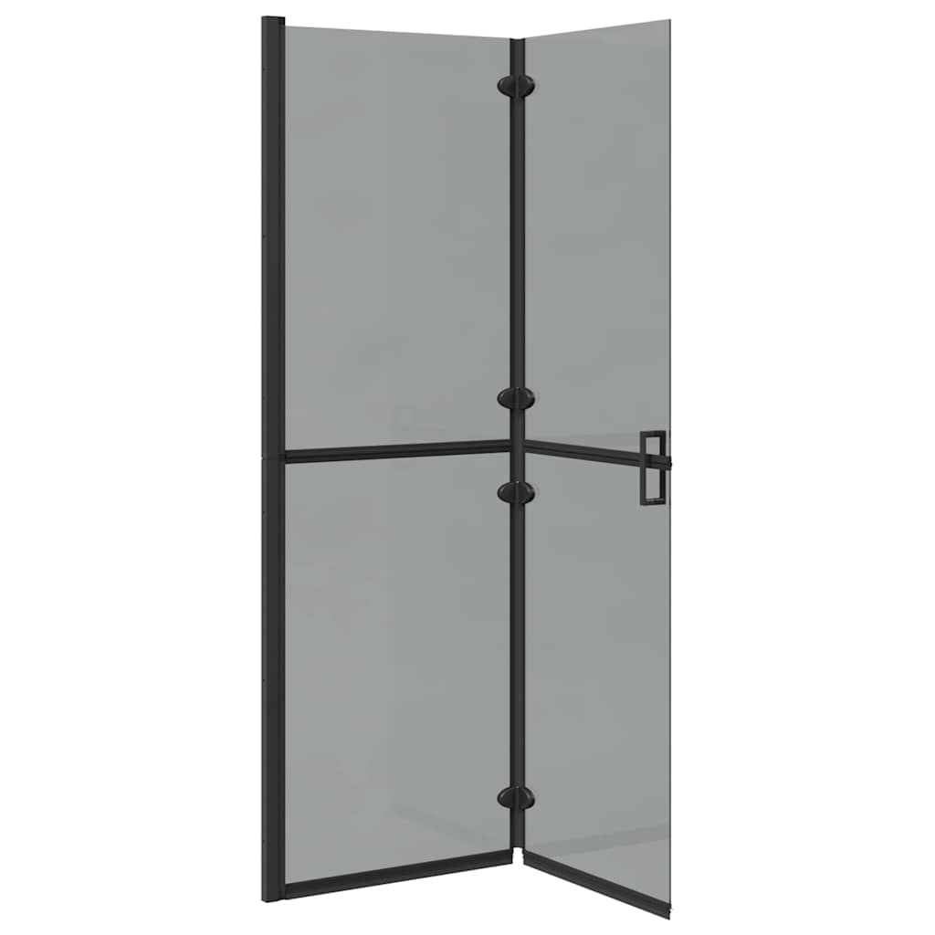 Walk-In Duschwand Schwarz 120 x 6,5 x 190 cm