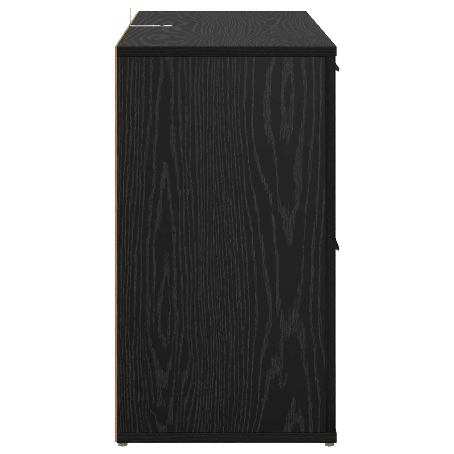 Sideboard Schwarz Eichen-Optik 100 x 33 x 59.5 cm Holzwerkstoff