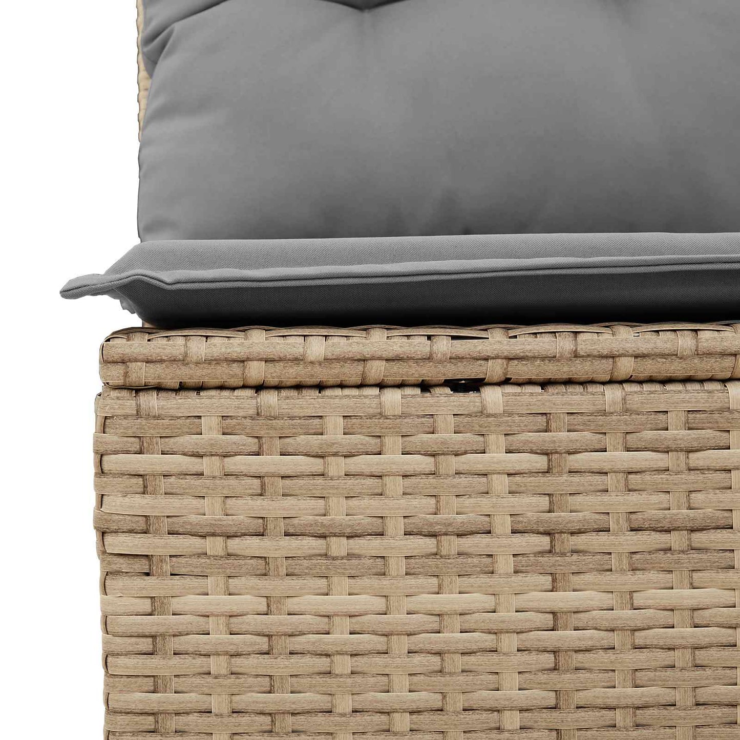 Gartenbank mit Kissen Beige und Grau Poly-Rattan