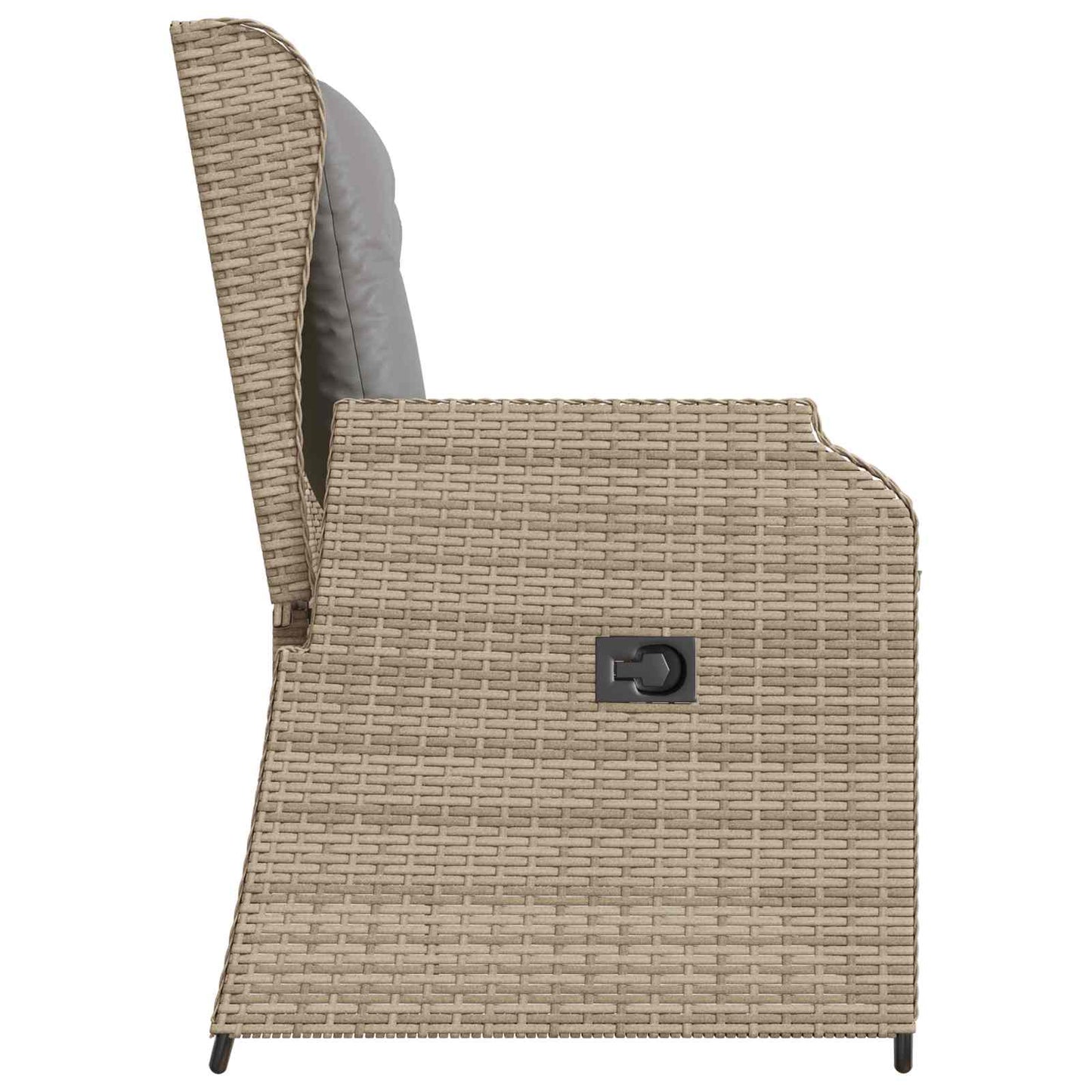 Gartenbank Beige Poly-Rattan