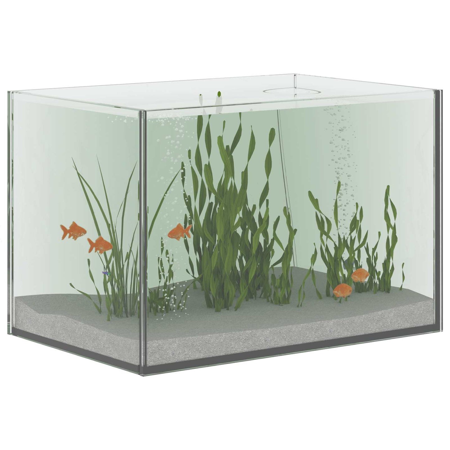 Aquarium mit Speicher Transparent 30 x 20 x 20 cm Glas