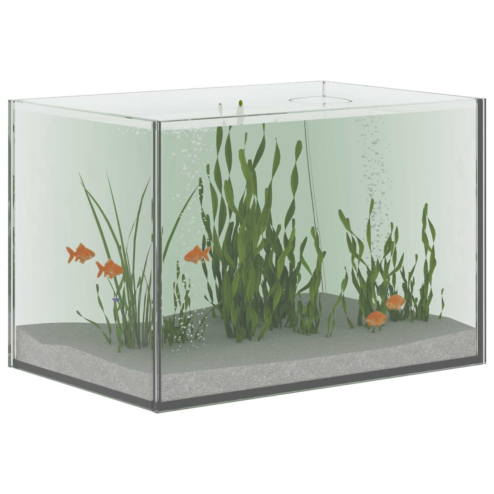 Aquarium mit Speicher Transparent 30 x 20 x 20 cm Glas