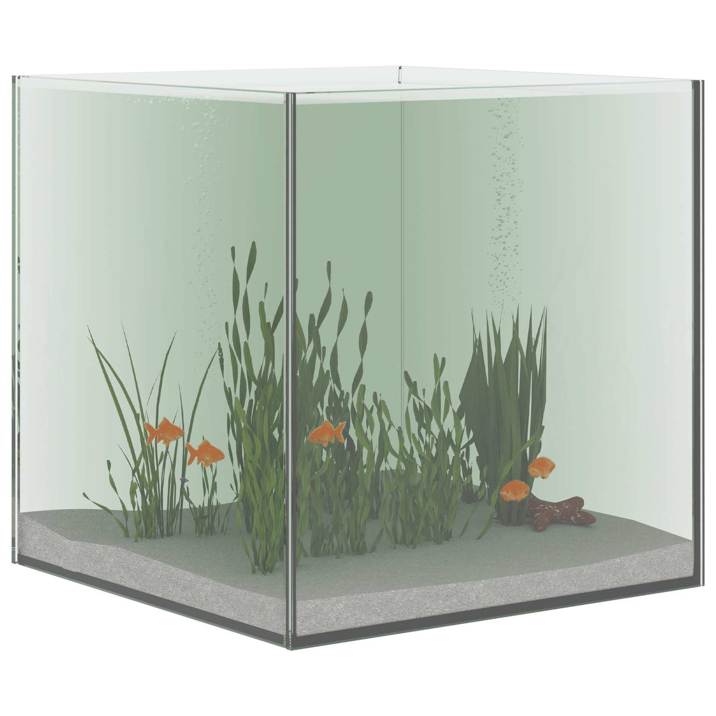 Aquarium mit Speicher Transparent 30 x 30 x 30 cm Glas