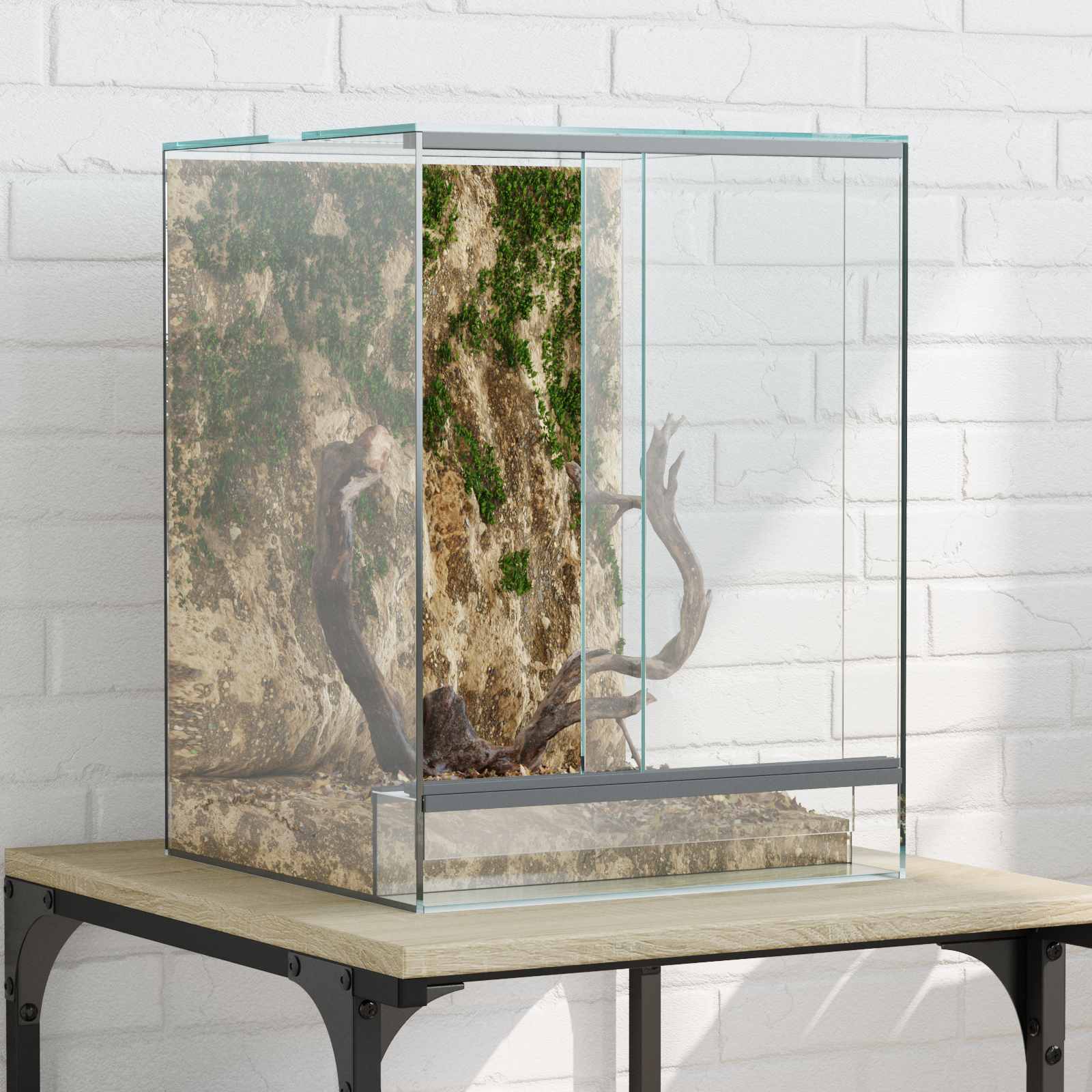 Terrarium mit Speicher Transparent 30 x 30 x 40 cm Glas