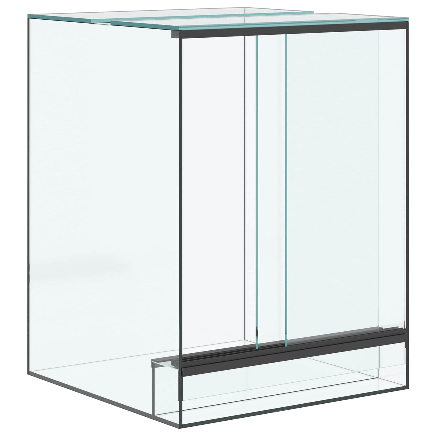 Terrarium mit Speicher Transparent 30 x 30 x 40 cm Glas