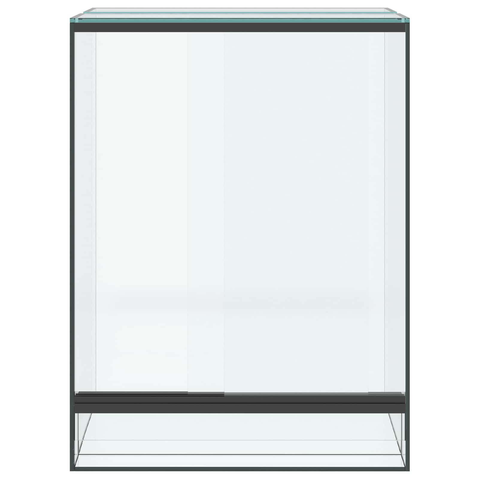 Terrarium mit Speicher Transparent 30 x 30 x 40 cm Glas