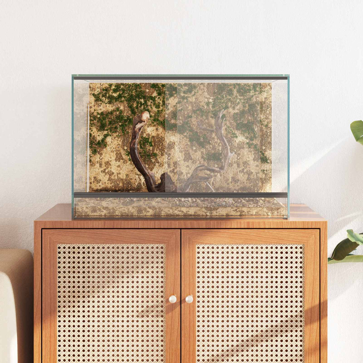 Terrarium mit Speicher Transparent 60 x 40 x 40 cm Glas