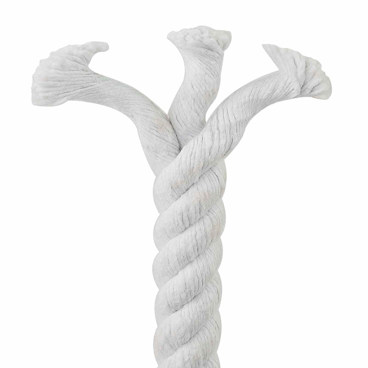 Baumwollseil 24 mm 50 m Weiß 100% Baumwolle