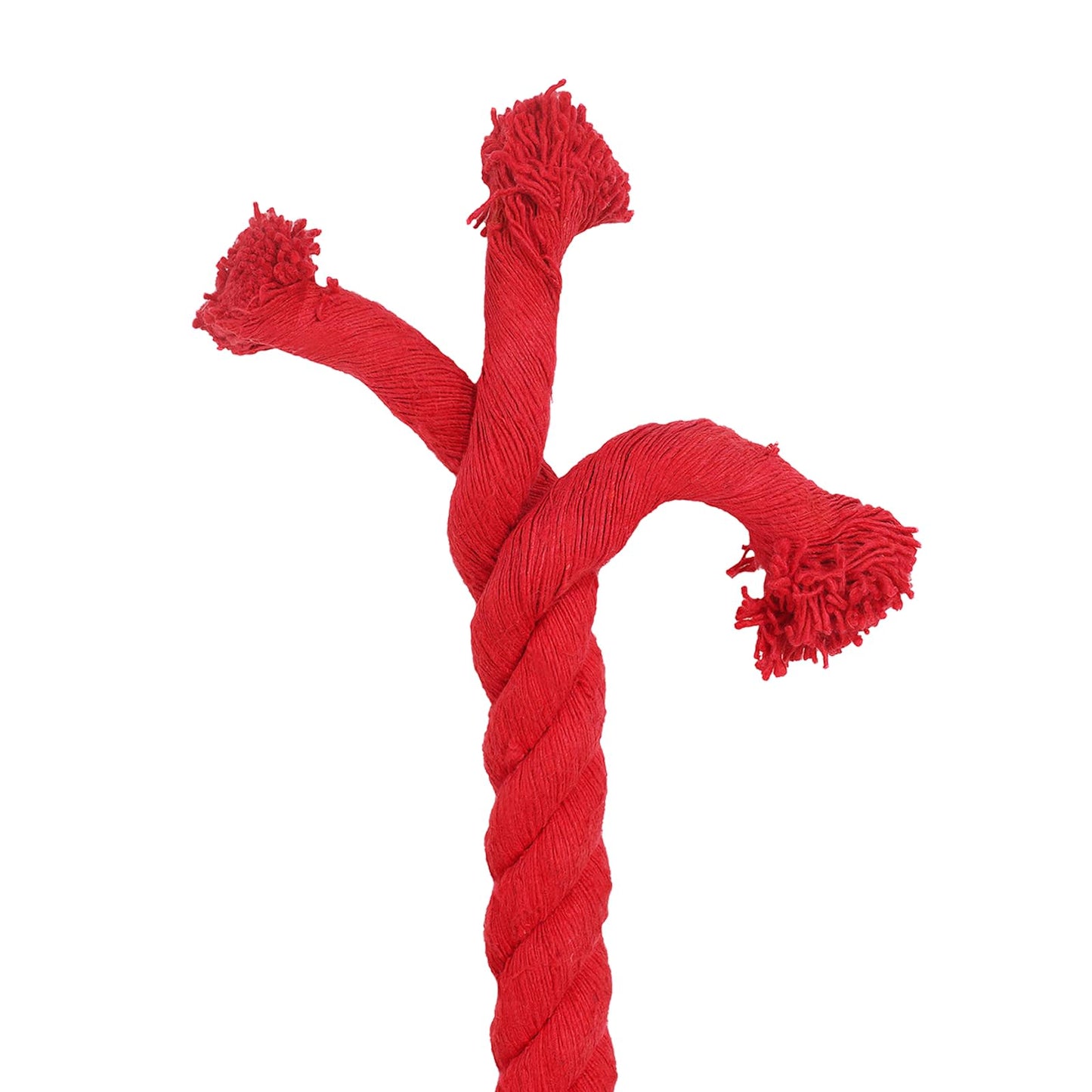 Baumwollseil 36 mm 10 m Rot 100% Baumwolle
