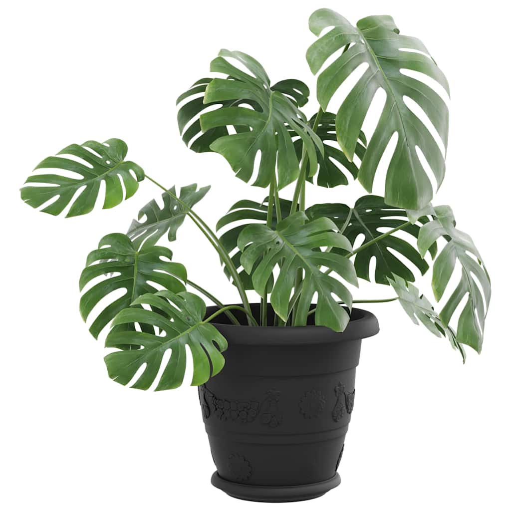 Runde Blumenplatte 24 Stk. Schwarz Ø 17,5 x 2 cm Kunststoff