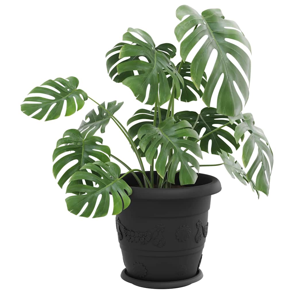 Runde Blumenplatte 24 Stk. Schwarz Ø 23,5 x 2,5 cm Kunststoff