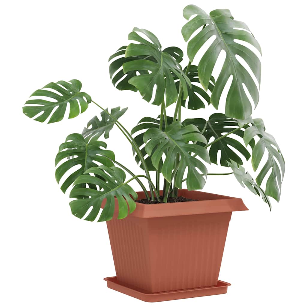 Quadratisches Blumentablett 24 stk. Ziegelrot 36 x 36 x 2,5 cm