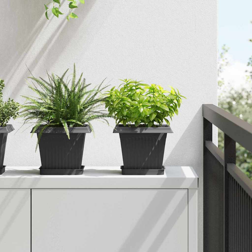 Quadratisches Blumentablett 24 Stk. Schwarz 15 x 15 x 2 cm