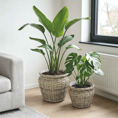 Blumentopfkorb GENDT 2 stk. Natürliches Grau Kubu Rattan