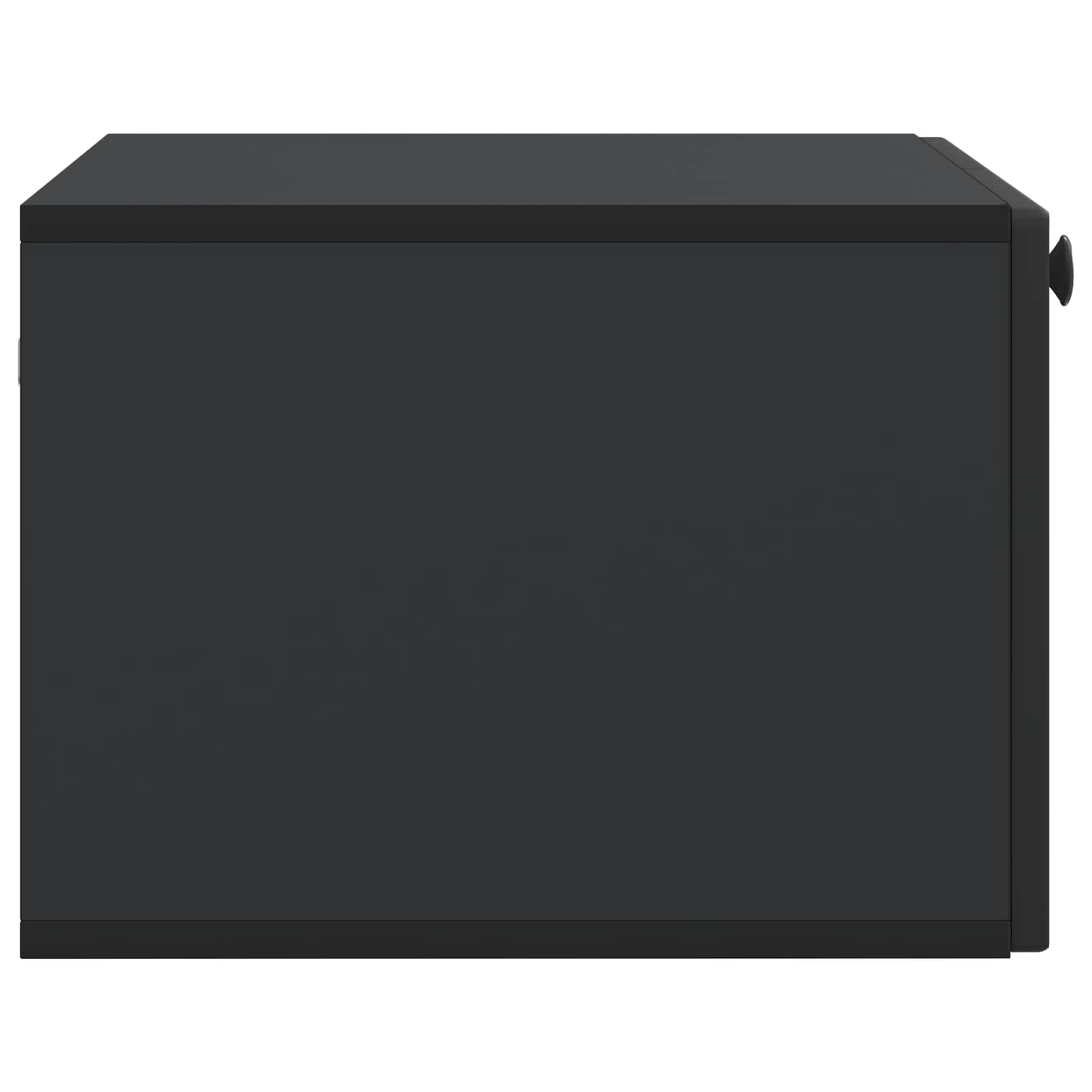 Wandmontierter TV-Schrank Schwarz 59,5 x 41 x 30 cm