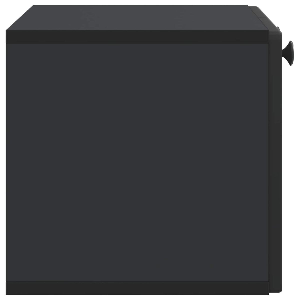 Wandmontierter TV-Schrank Schwarz 59,5 x 31 x 30 cm