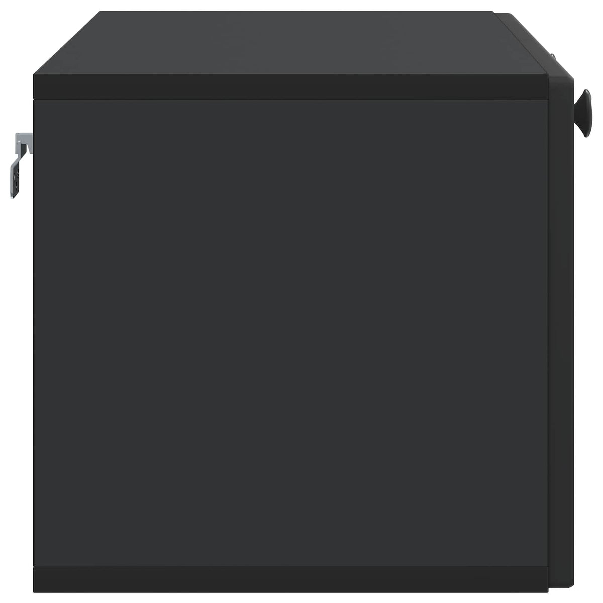 Wandmontierter TV-Schrank Schwarz 78,5 x 31 x 30 cm