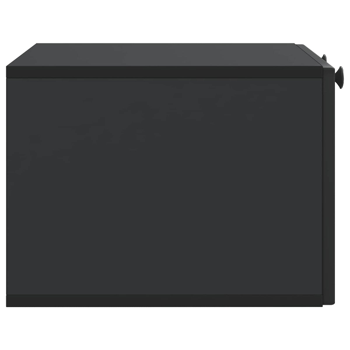 Wandmontierter TV-Schrank Schwarz 59,5 x 41 x 30 cm