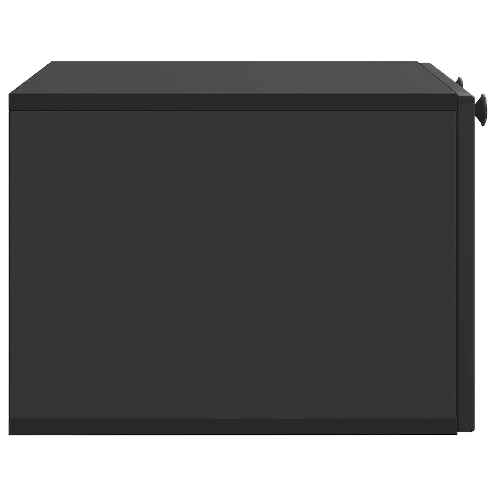 Wandmontierter TV-Schrank Schwarz 59,5 x 41 x 30 cm