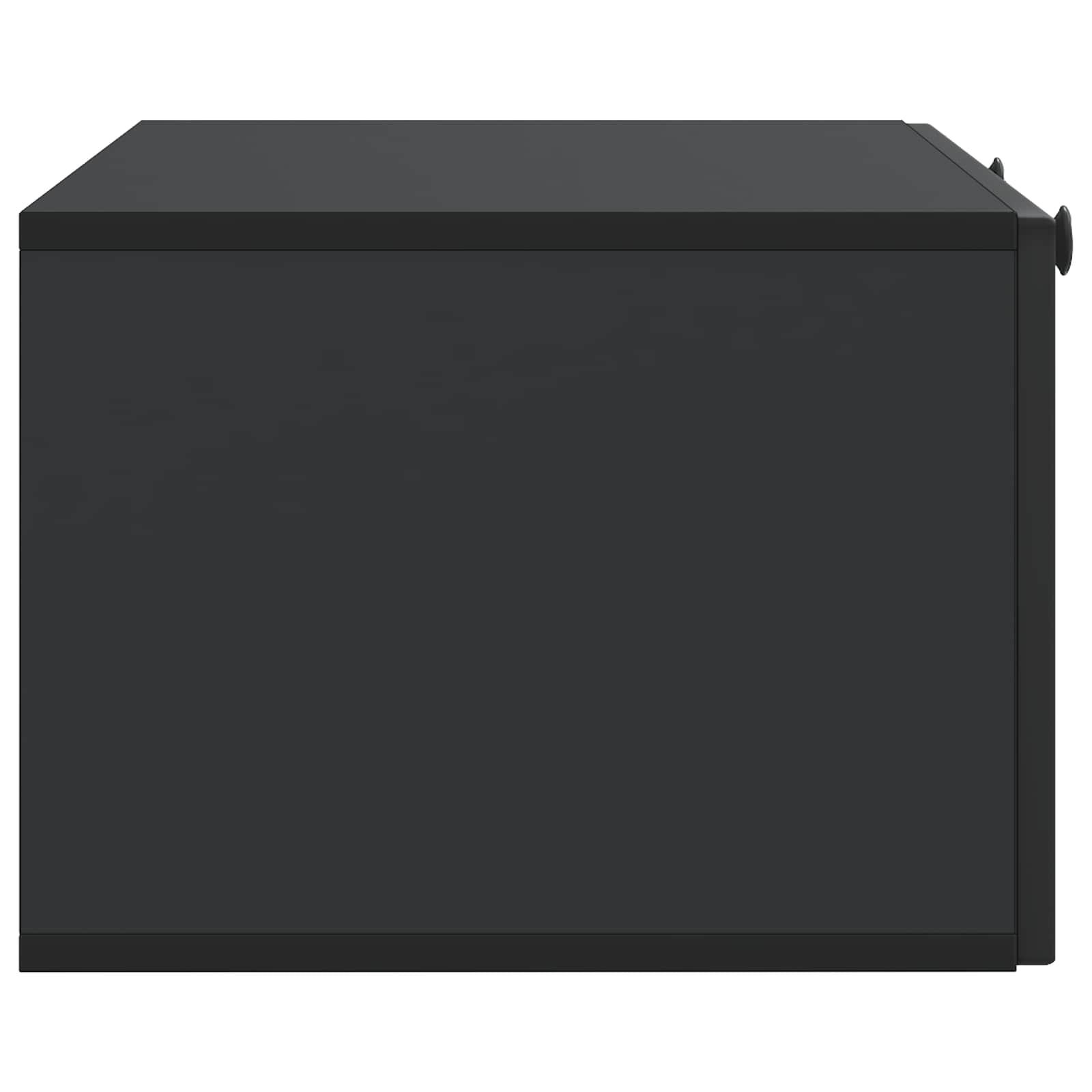 Wandmontierter TV-Schrank Schwarz 78,5 x 41 x 30 cm