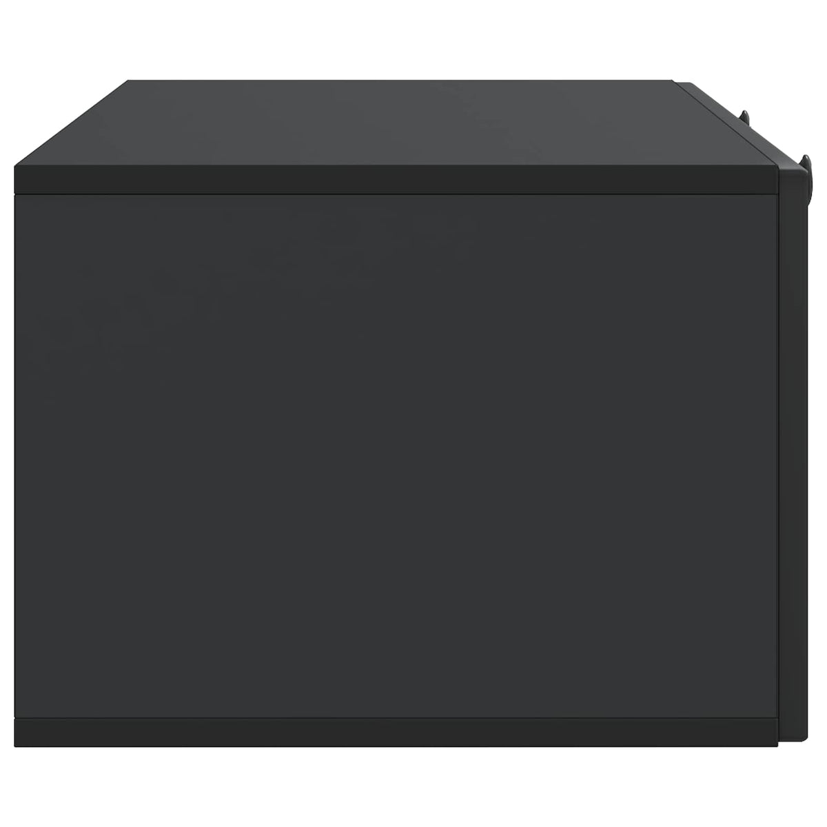 Wandmontierter TV-Schrank Schwarz 99 x 41 x 30 cm Holzwerkstoff