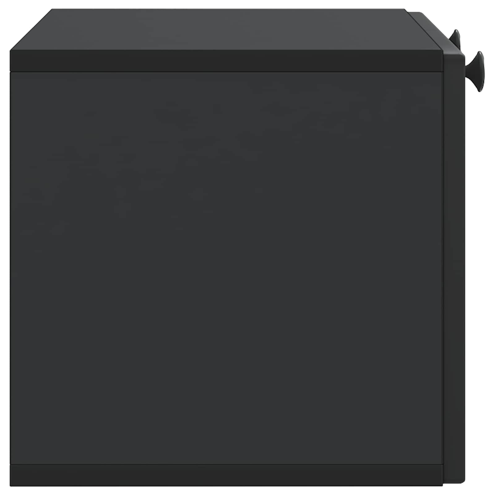 Wandmontierter TV-Schrank Schwarz 59,5 x 31 x 30 cm