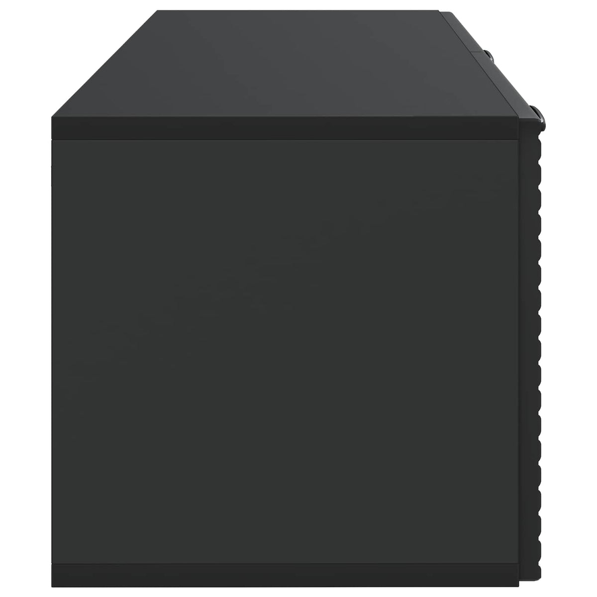 Wandmontierter TV-Schrank Schwarz 78,5 x 31 x 30 cm