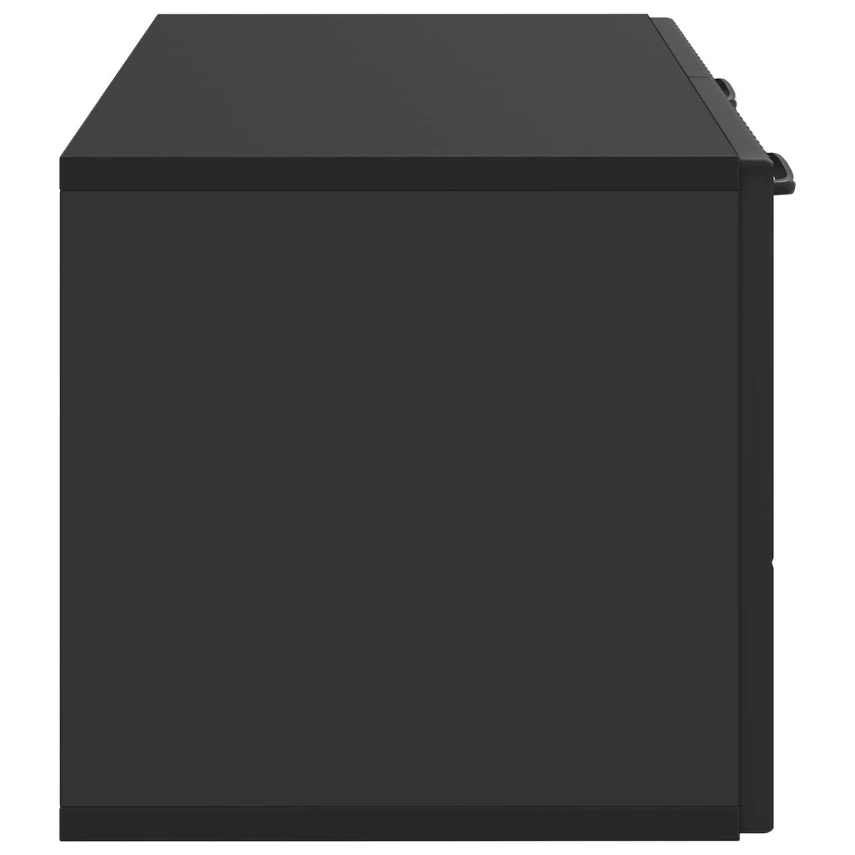 Wandmontierter TV-Schrank Schwarz 59,5 x 31 x 30 cm