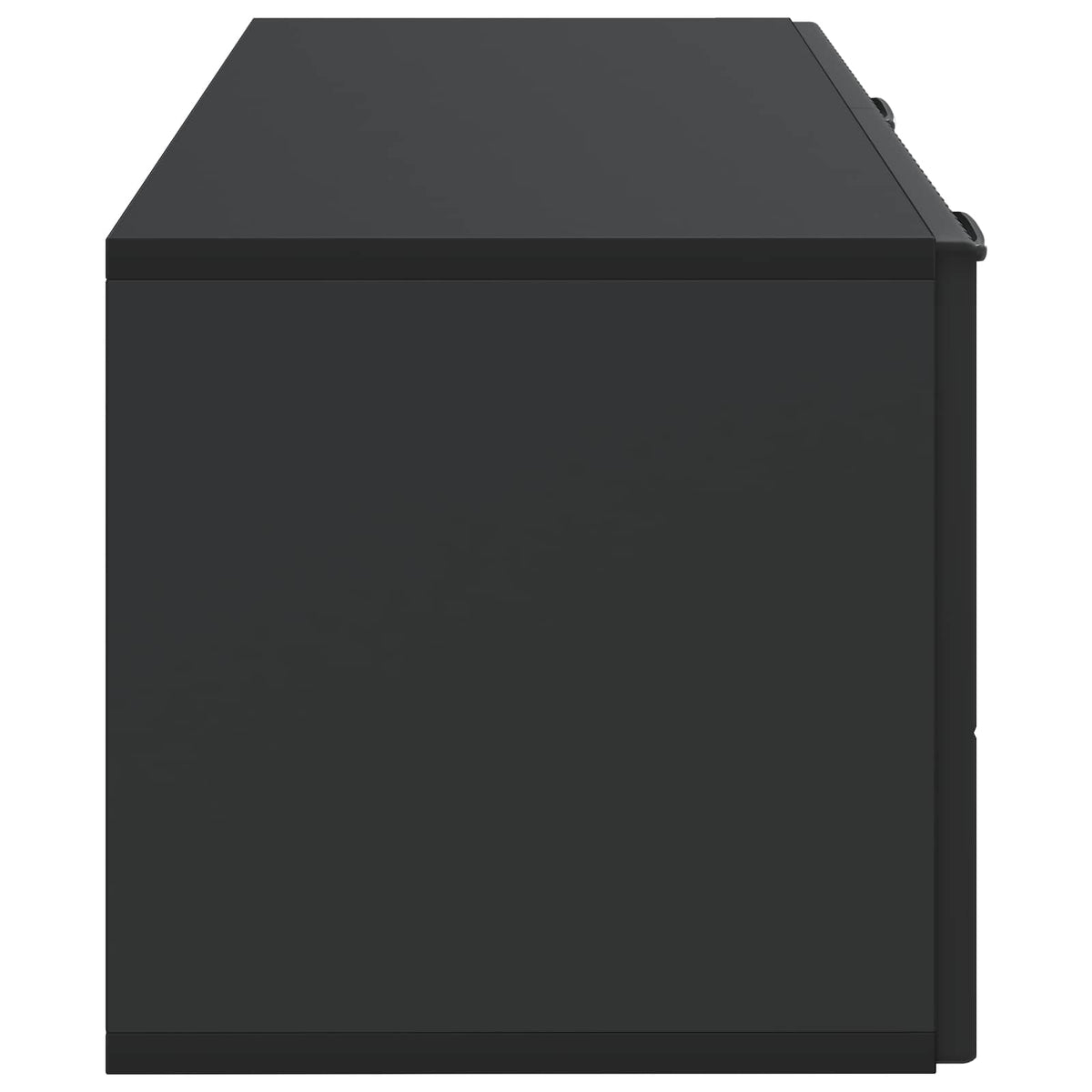 Wandmontierter TV-Schrank Schwarz 78,5 x 31 x 30 cm