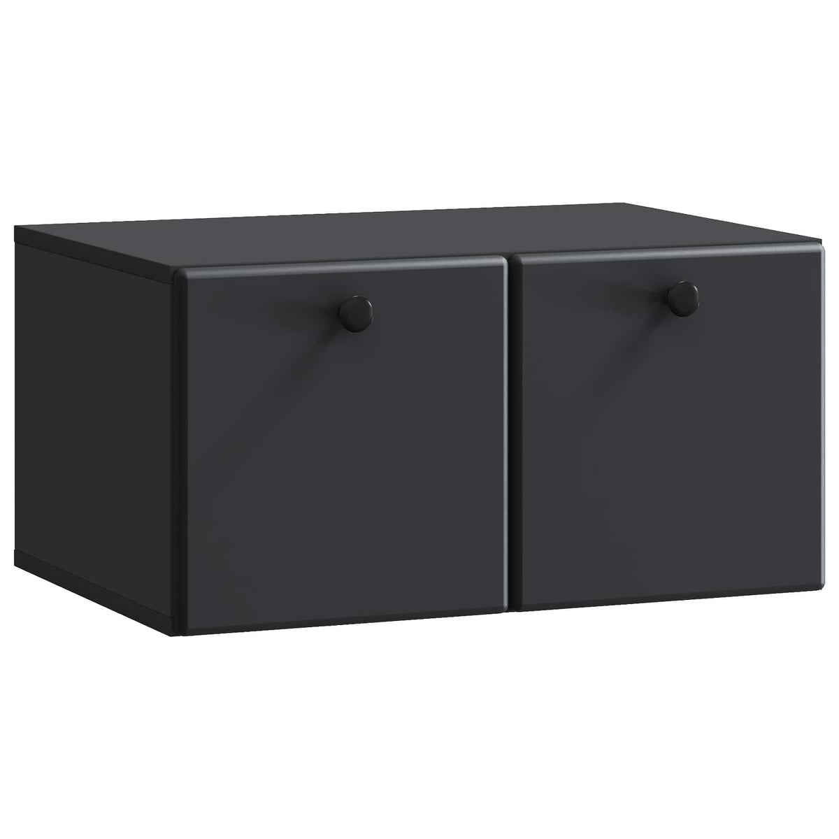 Wandmontierter TV-Schrank 59,5 x 41 x 30 cm Schwarz