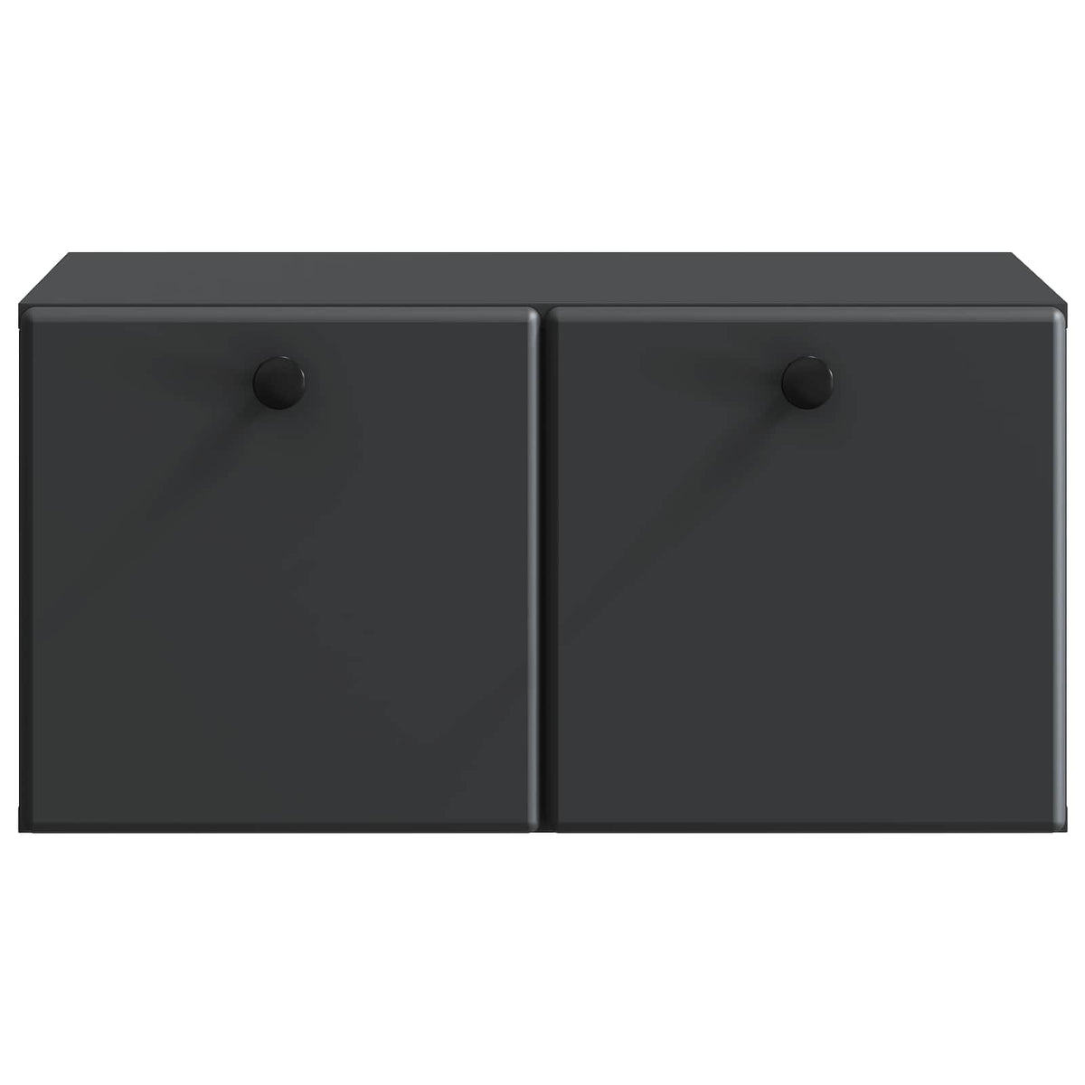 Wandmontierter TV-Schrank 59,5 x 41 x 30 cm Schwarz