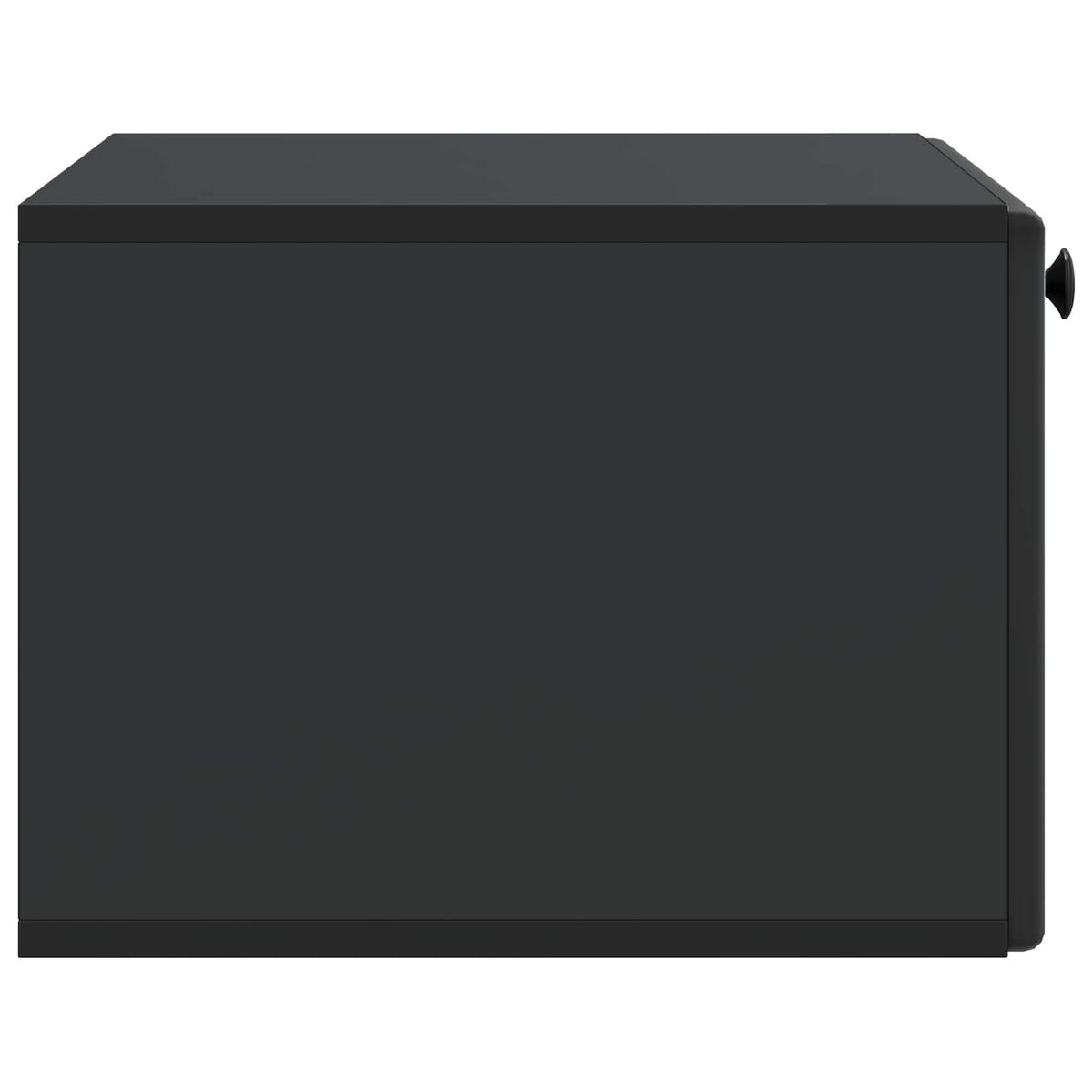 Wandmontierter TV-Schrank 59,5 x 41 x 30 cm Schwarz