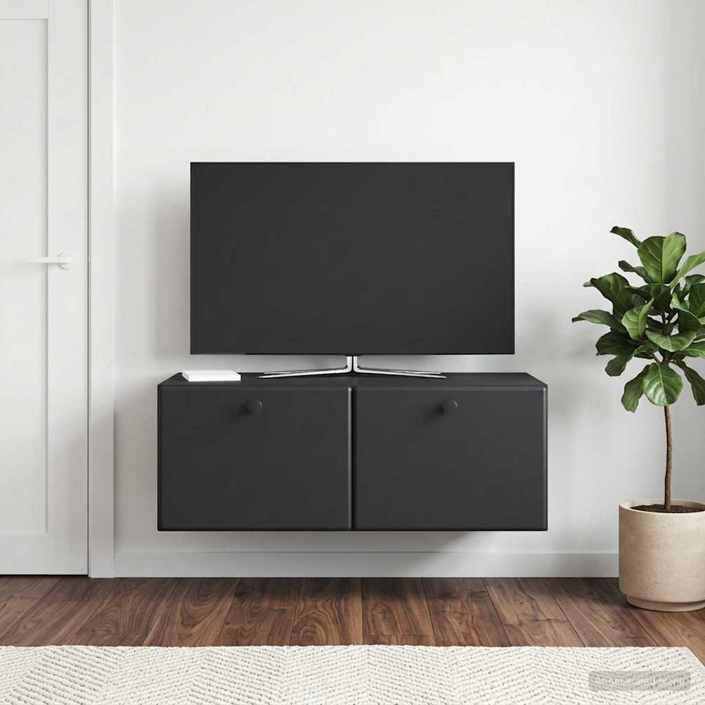 Wandmontierter TV-Schrank 78,5 x 41 x 30 cm Schwarz