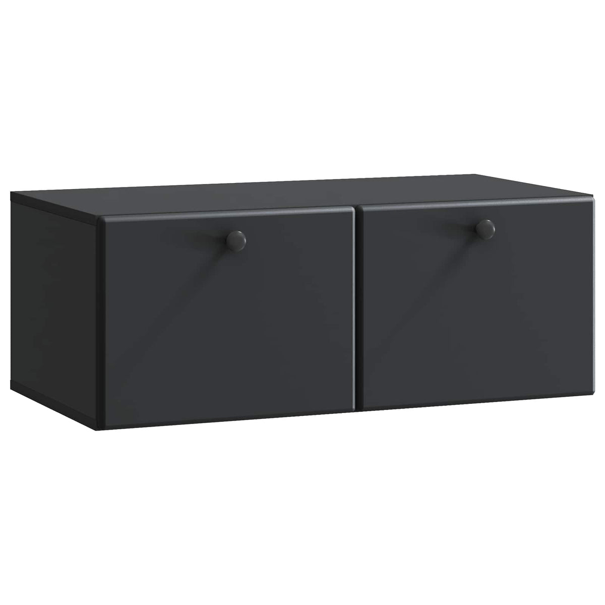 Wandmontierter TV-Schrank 78,5 x 41 x 30 cm Schwarz