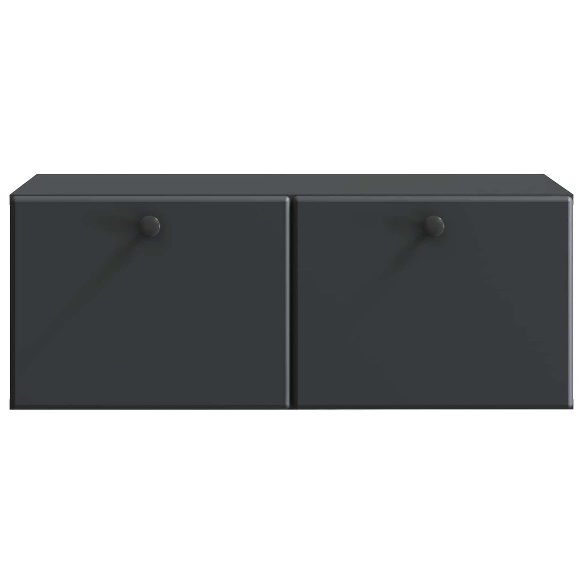 Wandmontierter TV-Schrank 78,5 x 41 x 30 cm Schwarz