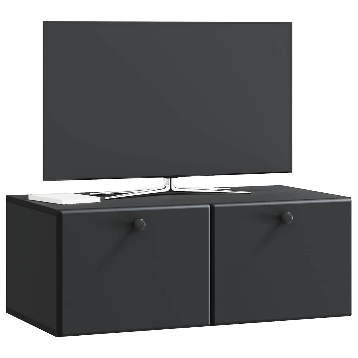 Wandmontierter TV-Schrank 78,5 x 41 x 30 cm Schwarz