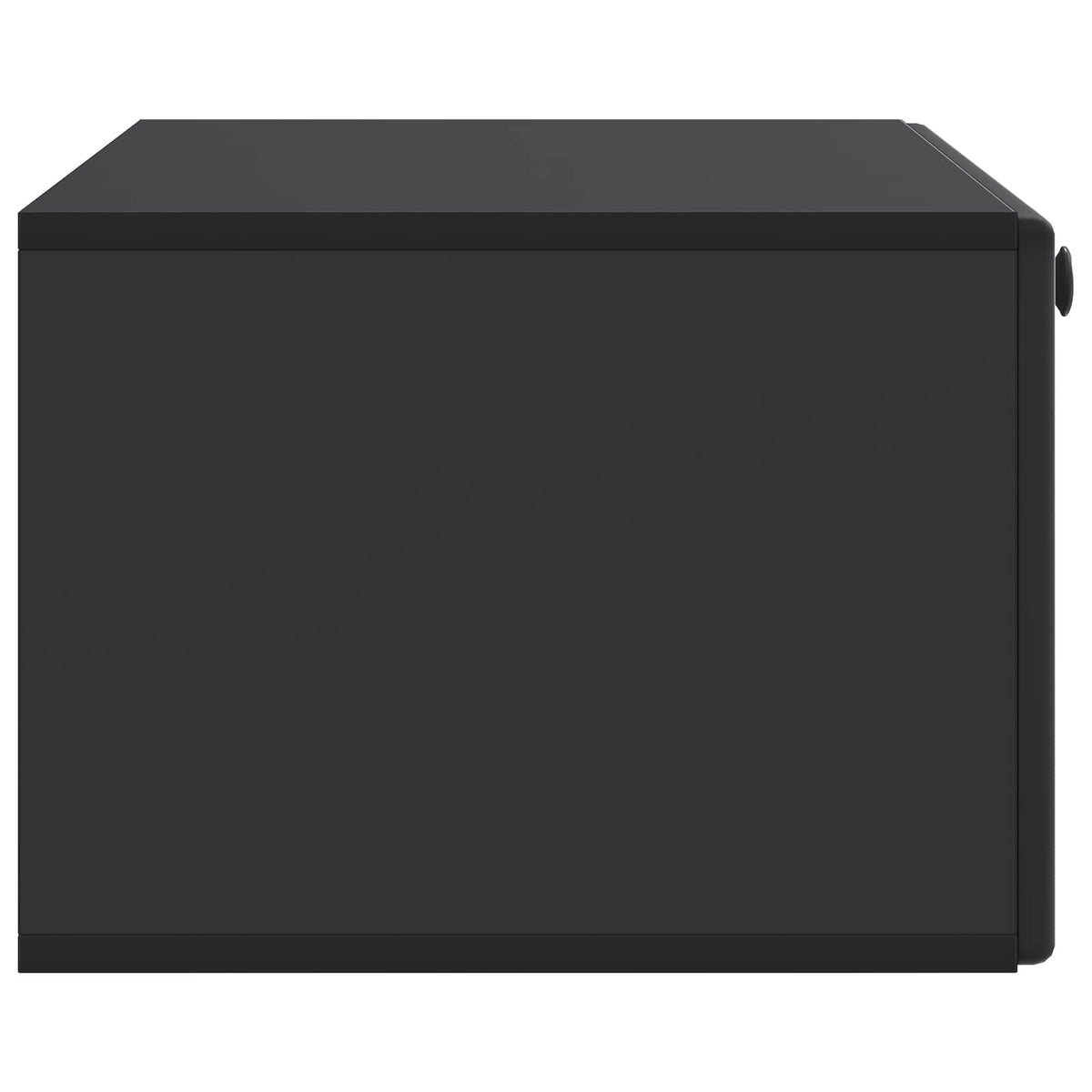 Wandmontierter TV-Schrank 78,5 x 41 x 30 cm Schwarz