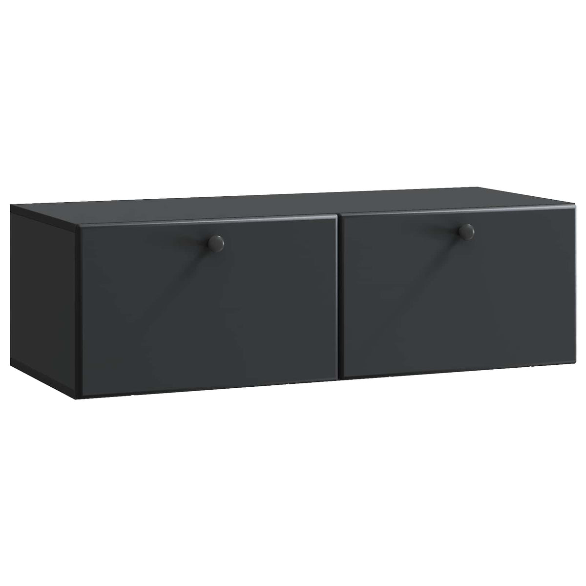 Wandmontierter TV-Schrank 98 x 41 x 30 cm Schwarz Holzwerkstoff