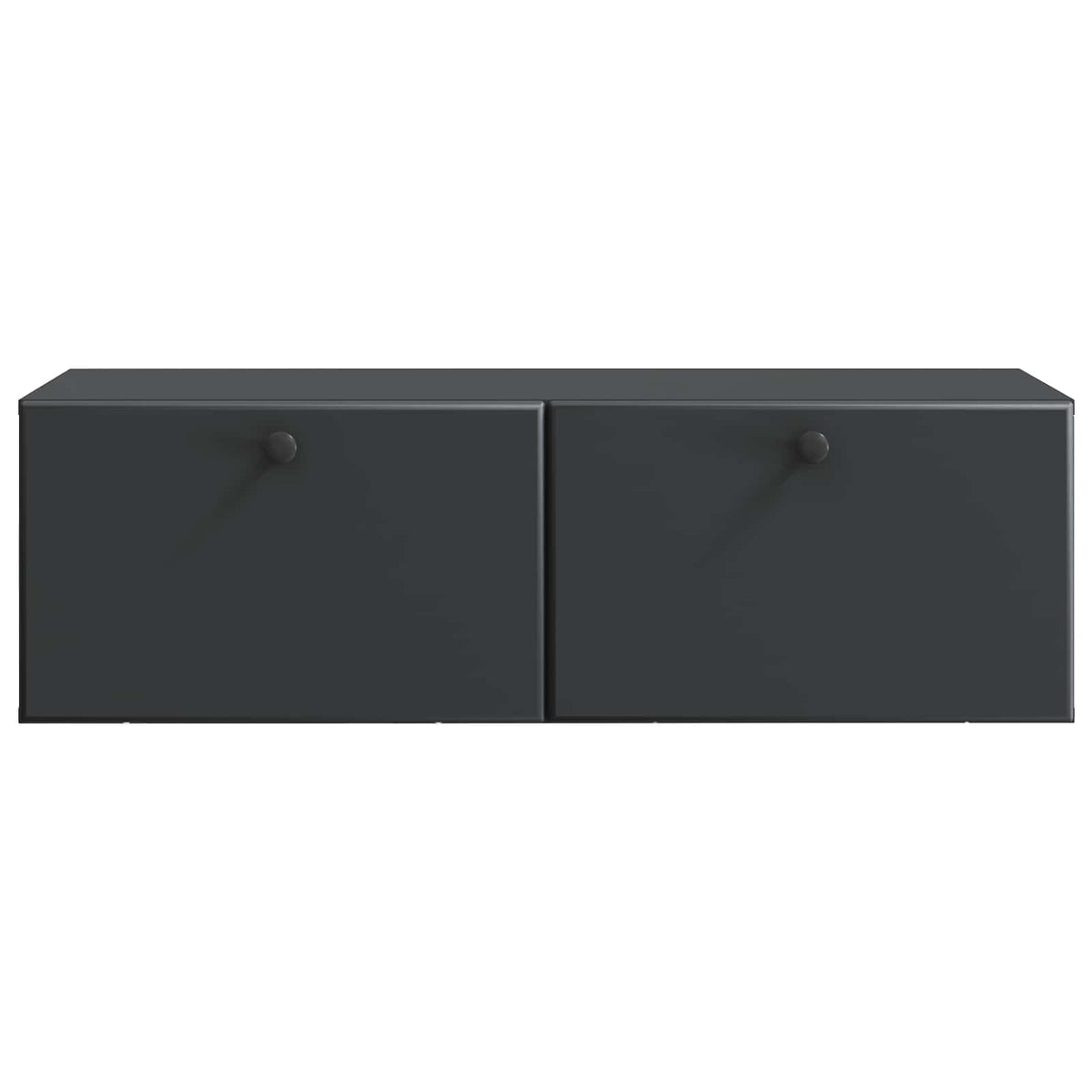 Wandmontierter TV-Schrank 98 x 41 x 30 cm Schwarz Holzwerkstoff