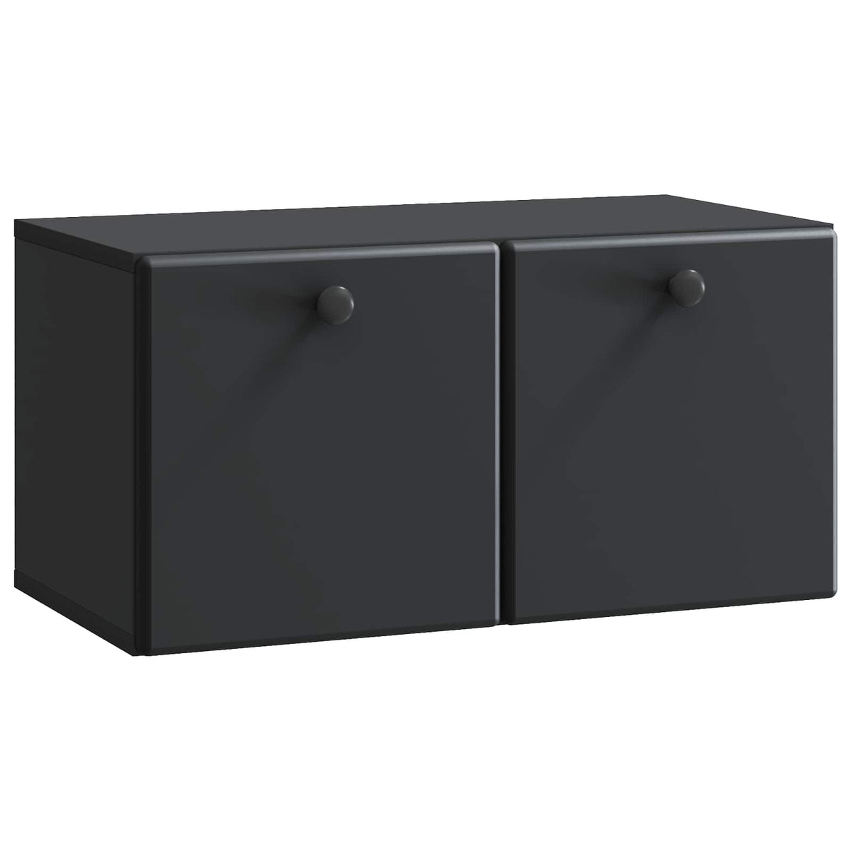 Wandmontierter TV-Schrank 59,5 x 31 x 30 cm Schwarz