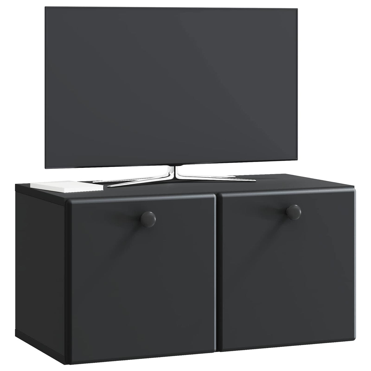 Wandmontierter TV-Schrank 59,5 x 31 x 30 cm Schwarz