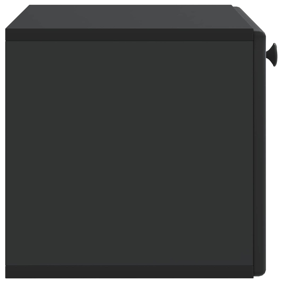 Wandmontierter TV-Schrank 59,5 x 31 x 30 cm Schwarz