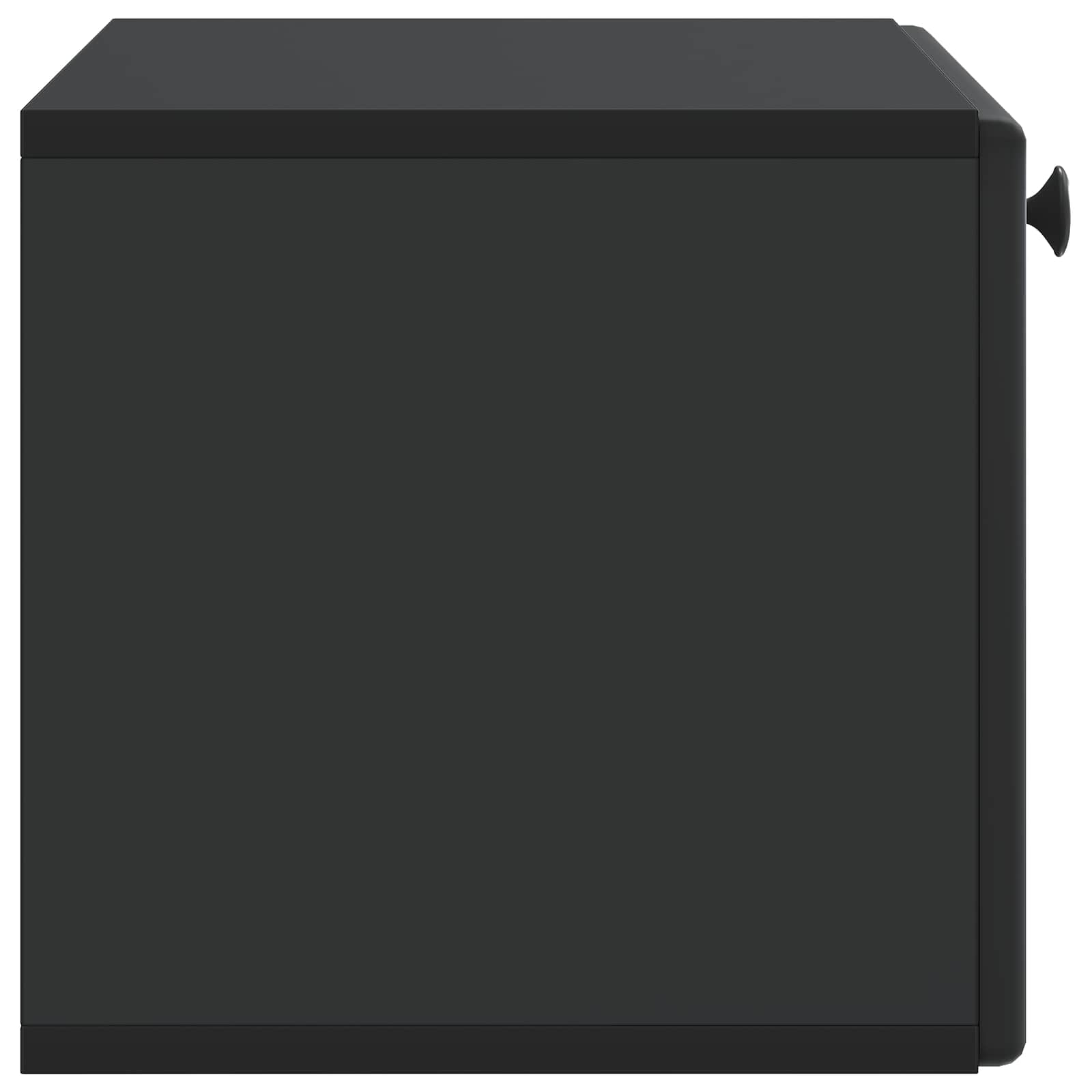 Wandmontierter TV-Schrank 59,5 x 31 x 30 cm Schwarz