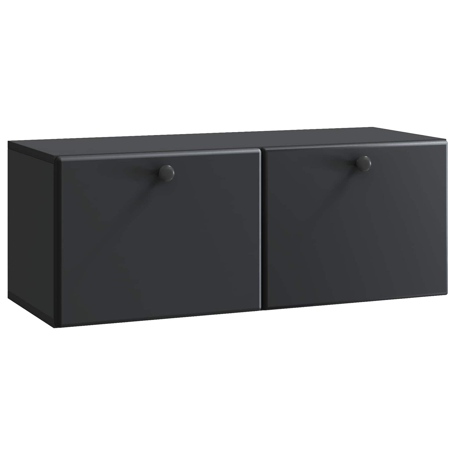 Wandmontierter TV-Schrank 78,5 x 31 x 30 cm Schwarz