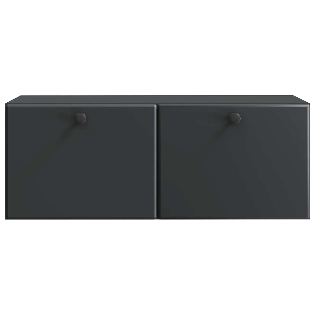 Wandmontierter TV-Schrank 78,5 x 31 x 30 cm Schwarz