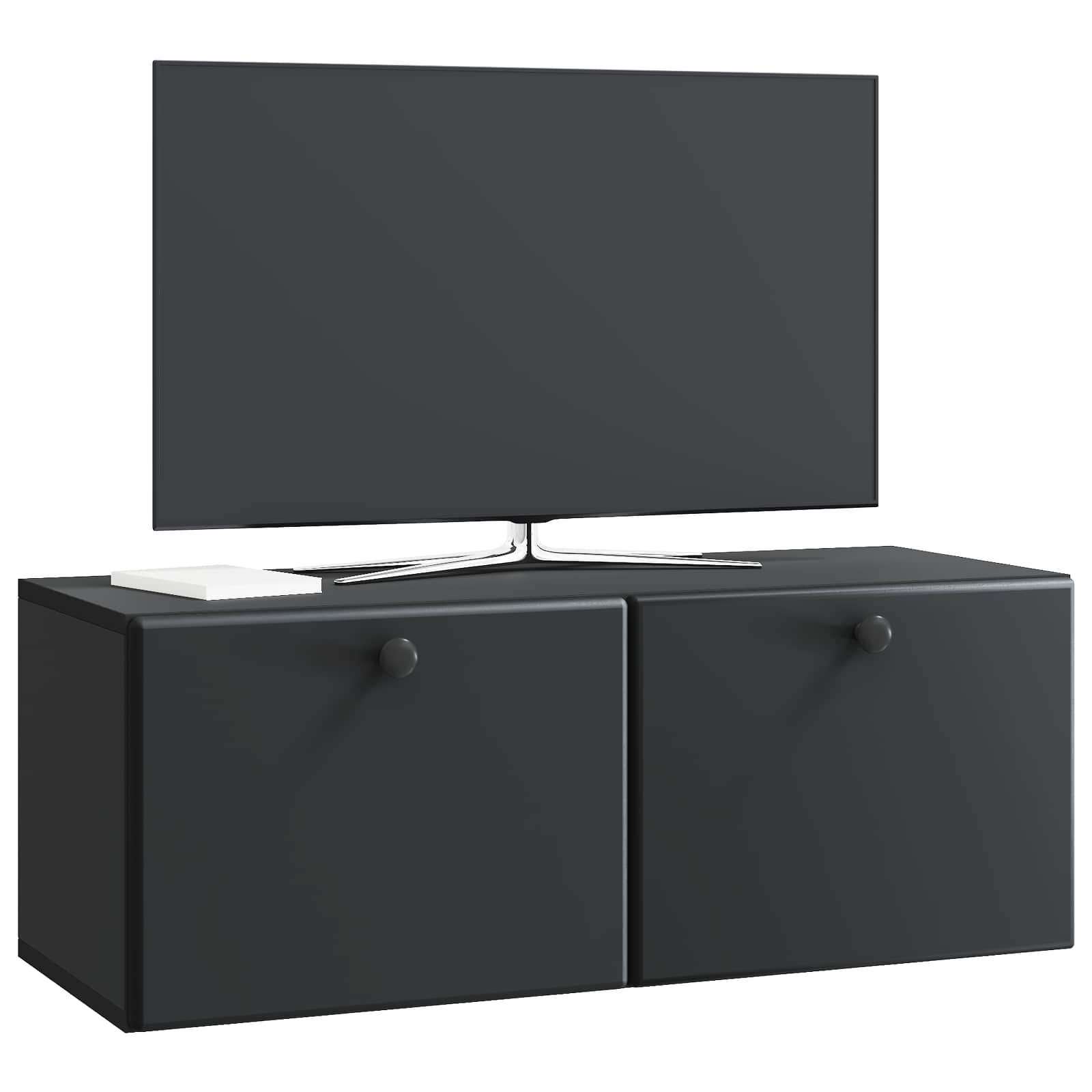Wandmontierter TV-Schrank 78,5 x 31 x 30 cm Schwarz