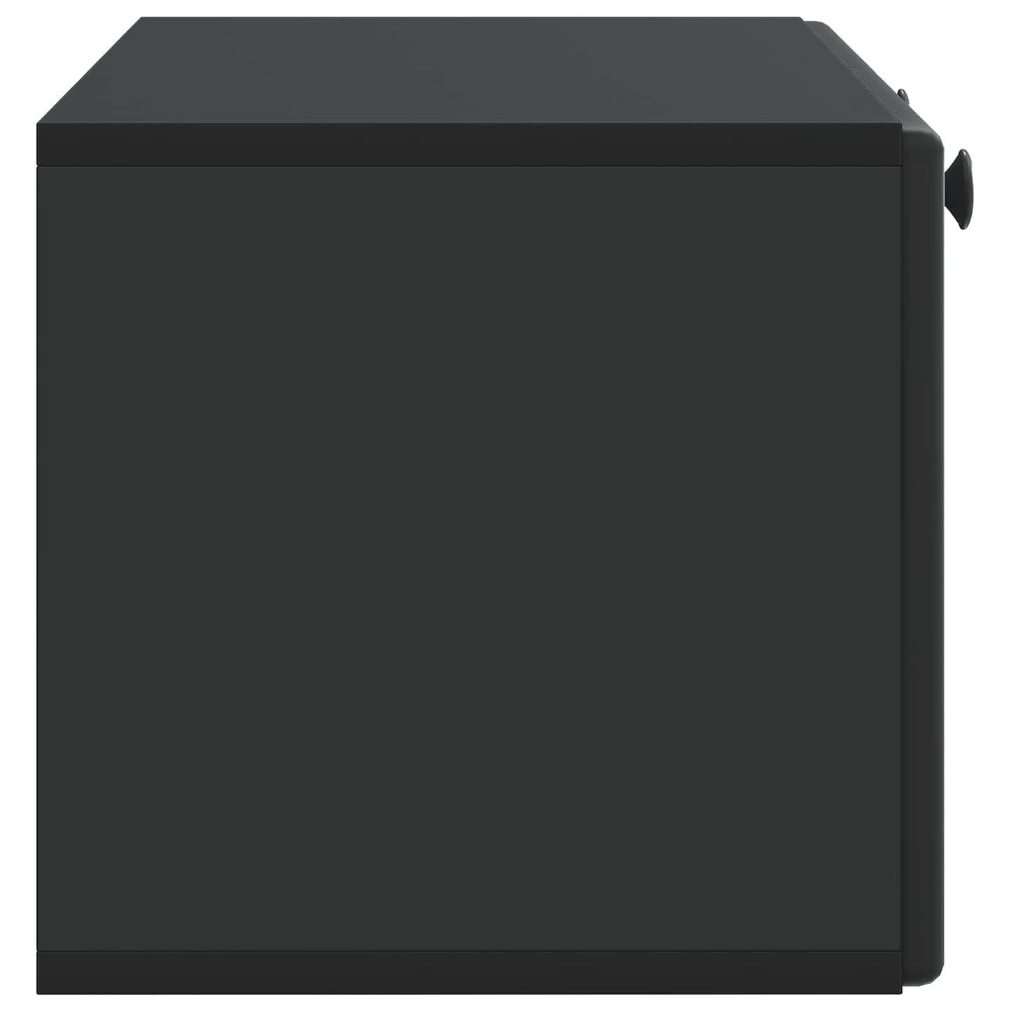 Wandmontierter TV-Schrank 78,5 x 31 x 30 cm Schwarz